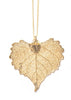 Cottonwood Leaf Necklace- Gold