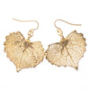Cottonwood Leaf Earrings- Gold