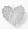 Cottonwood Leaf Magnet- Silver