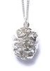 Redwood Cone Necklace- Silver